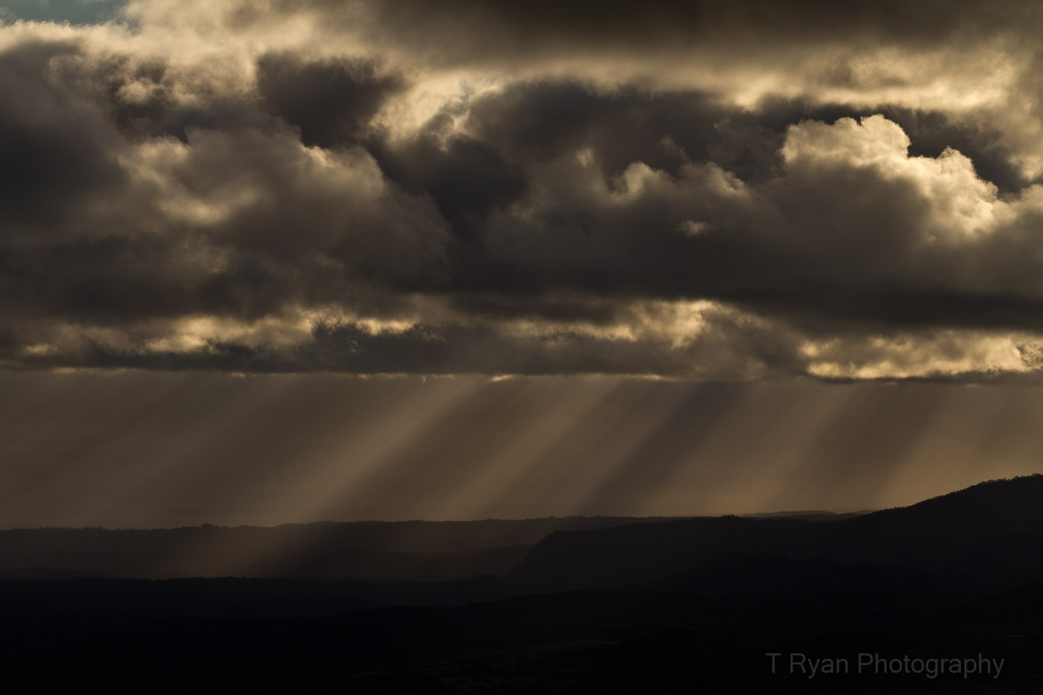 West_Coast_Tasmania72.jpg