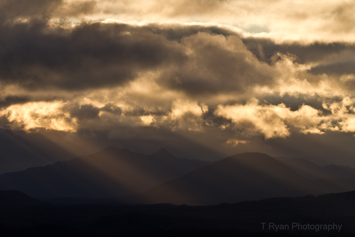 West_Coast_Tasmania74.jpg