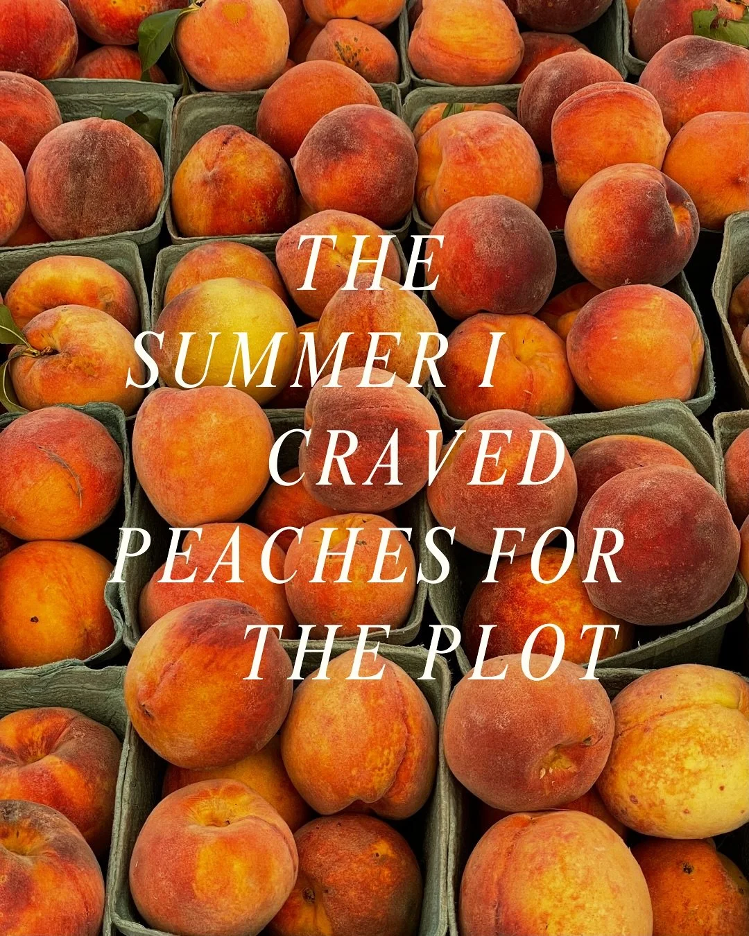 because i&rsquo;ve been emotionally invested in teen romances since i was a tween, and i&rsquo;m still out here yearning for men (boys) like conrad fisher irl and in fiction

#tsitp #thesummeriturnedpretty