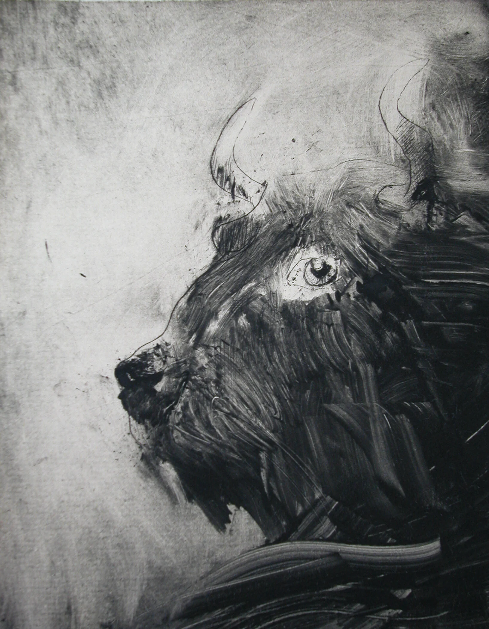 9. Undergraduate Monotype.JPG