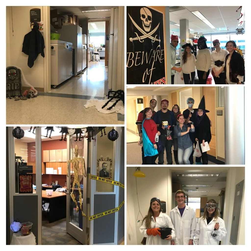 Halloween in the Life Sciences Building, October 2017.