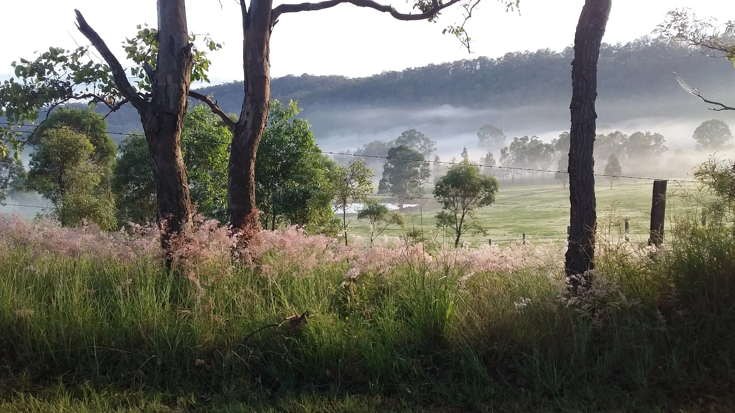 20180424_072939.jpg