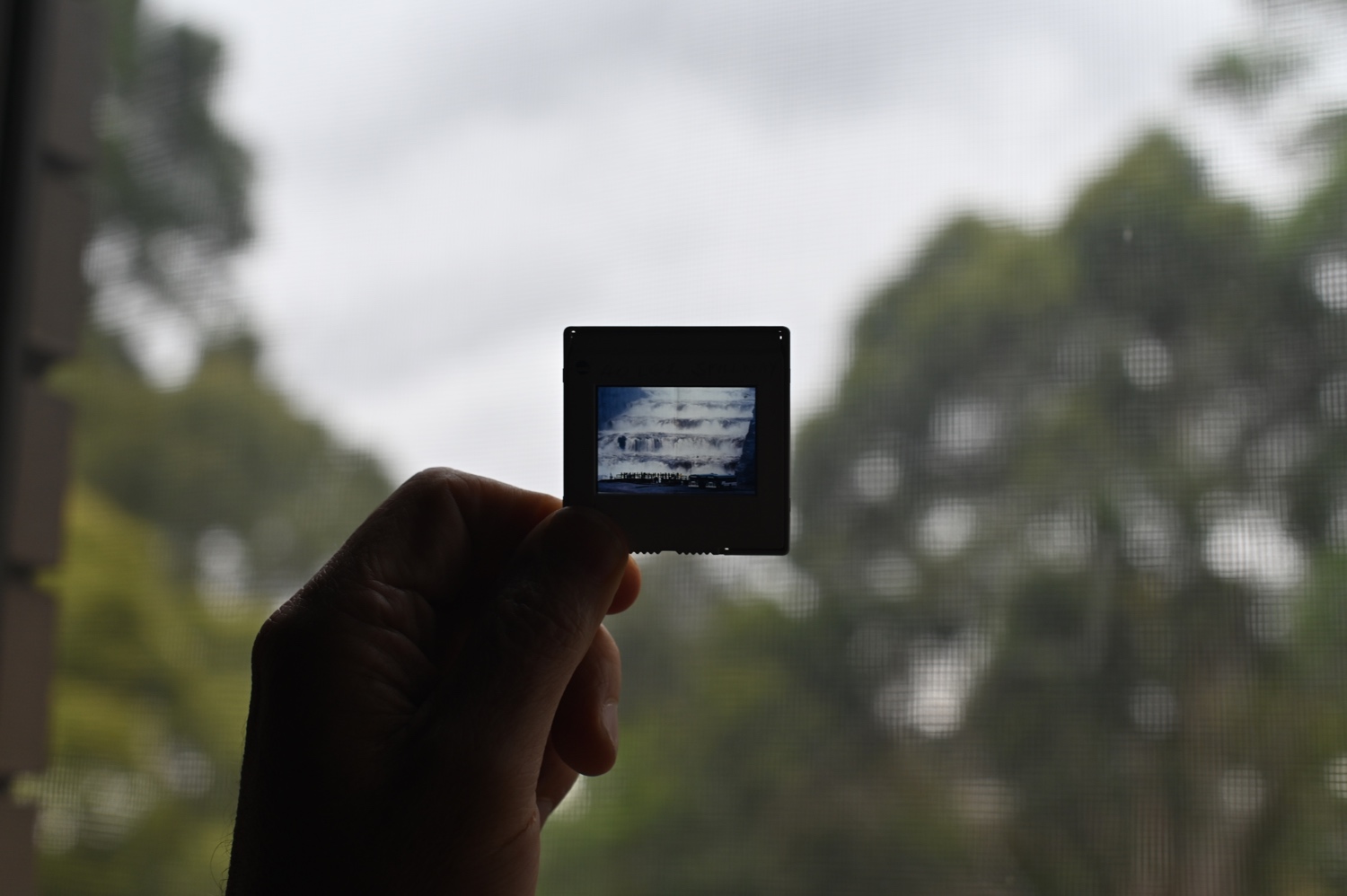 DSC_0357.jpeg