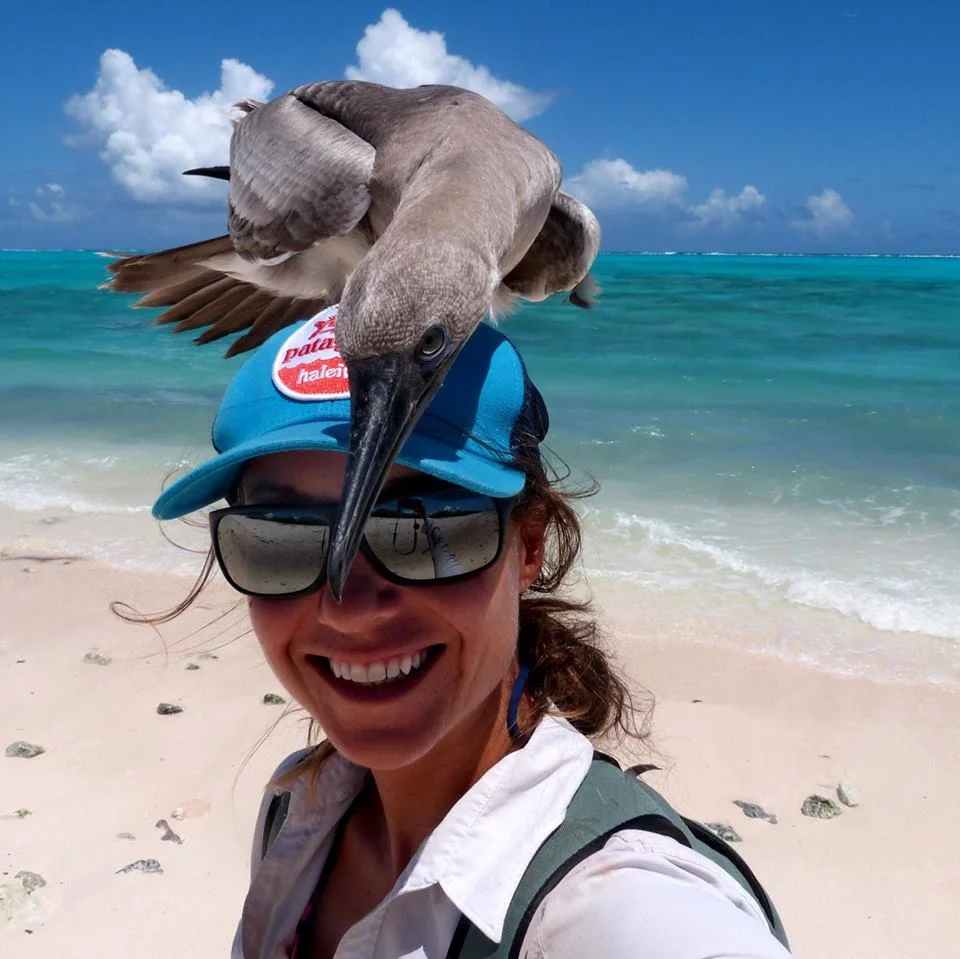 Jessica Farrer - Pinniped Science Advisor- National Geographic - SR3 - Pinniped ScientistJessica graduated with a degree in evolutionary biology from Western Washington University in Bellingham, Washington. Since graduation she has worked in fisheri…