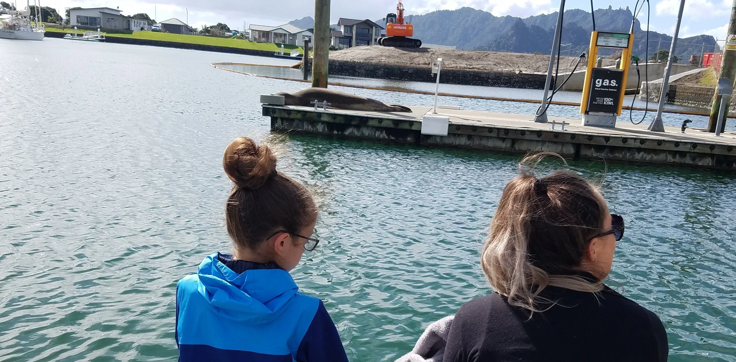 Dr. Krista Hupman,NIWA - Leopard Seals.org - New ZealandAs a research associate of the Coastal-Marine Research Group, Massey University, New Zealand, I undertake research on marine mammal ecology and conservation. My research focus specifically exam…