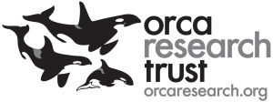 orca_logo_WHITE5-300x112.png