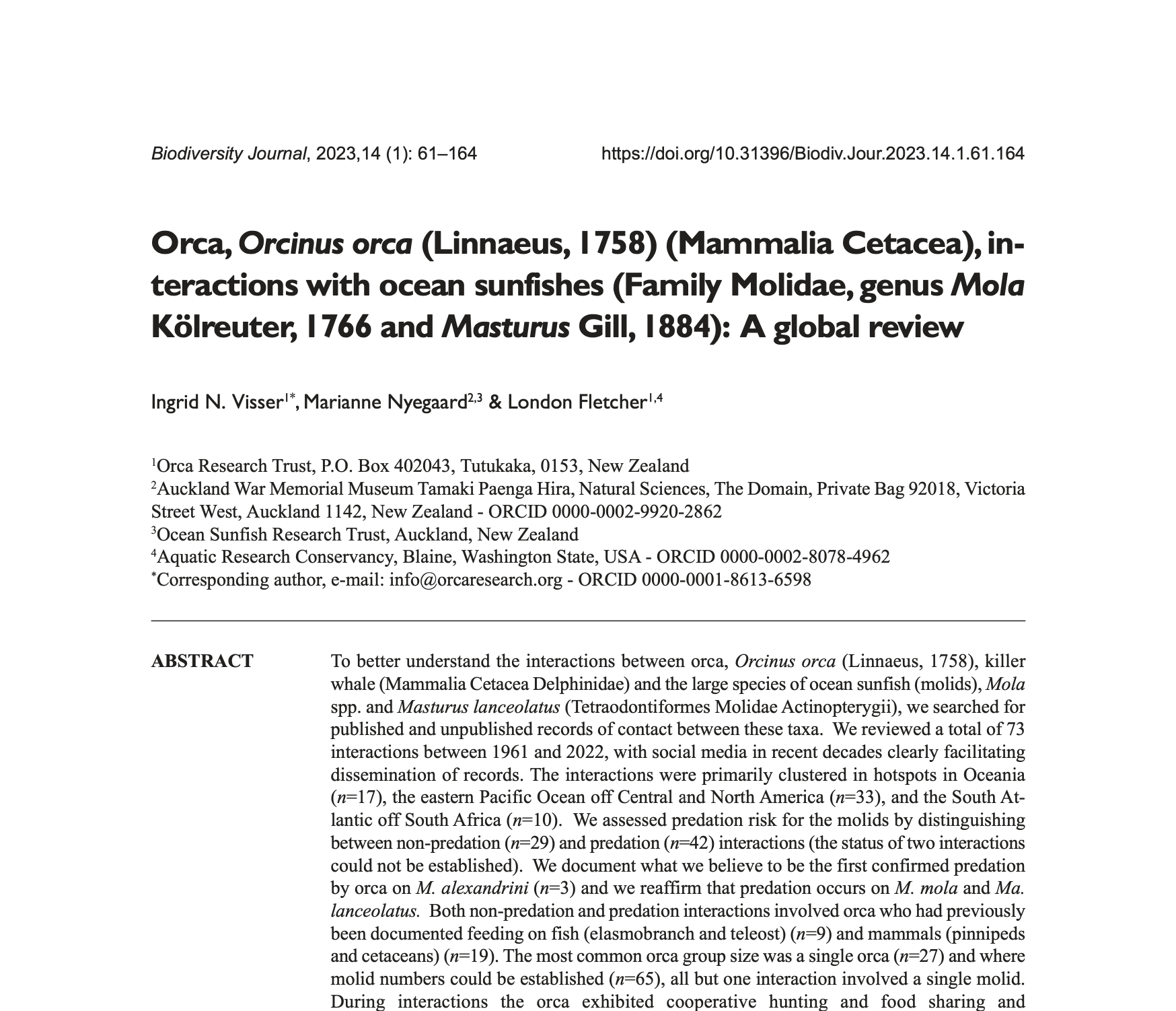 2023 Orca, Orcinus orca, interactions with ocean sunfishes