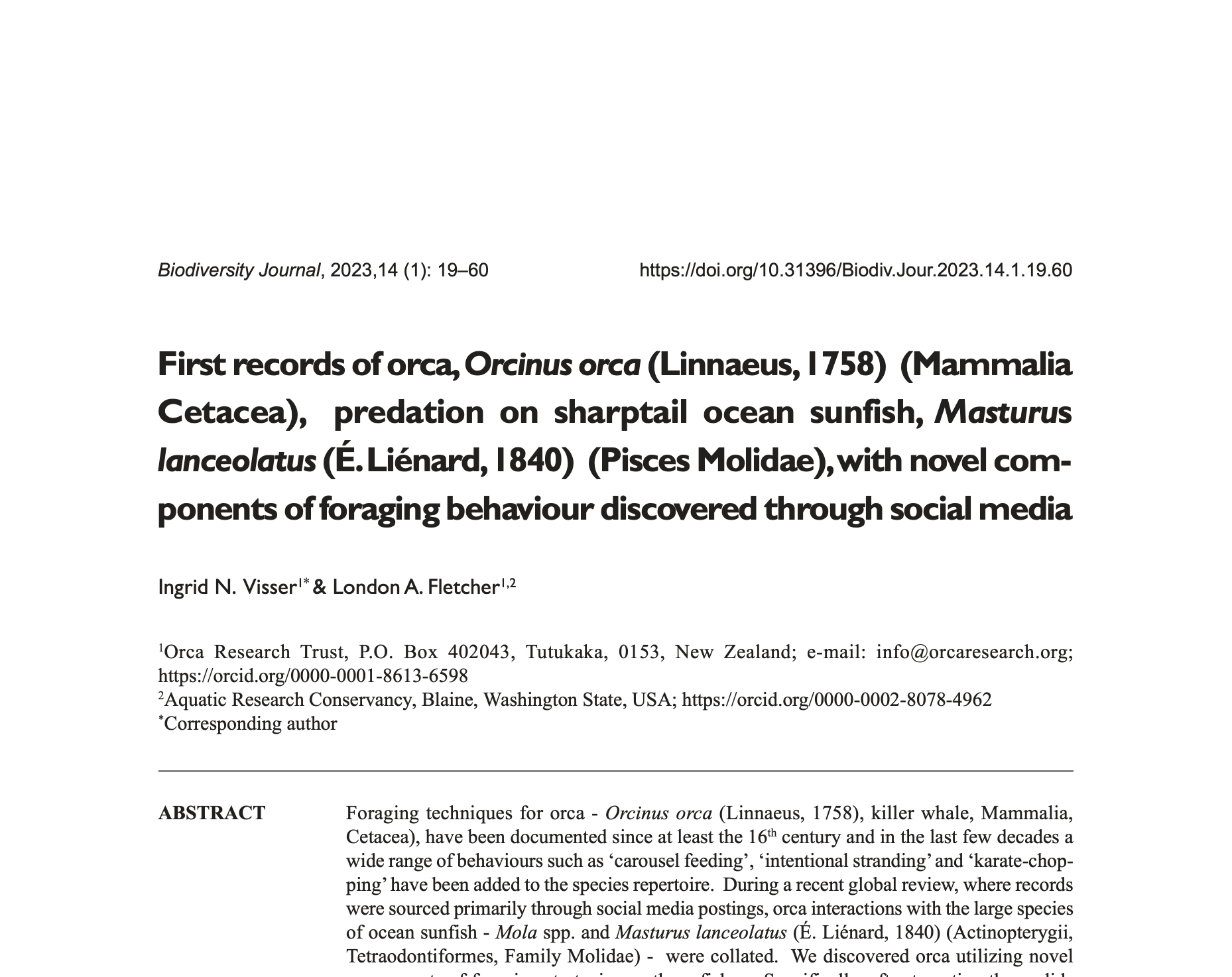 2023 First records of orca predation on sharptail ocean sunfish
