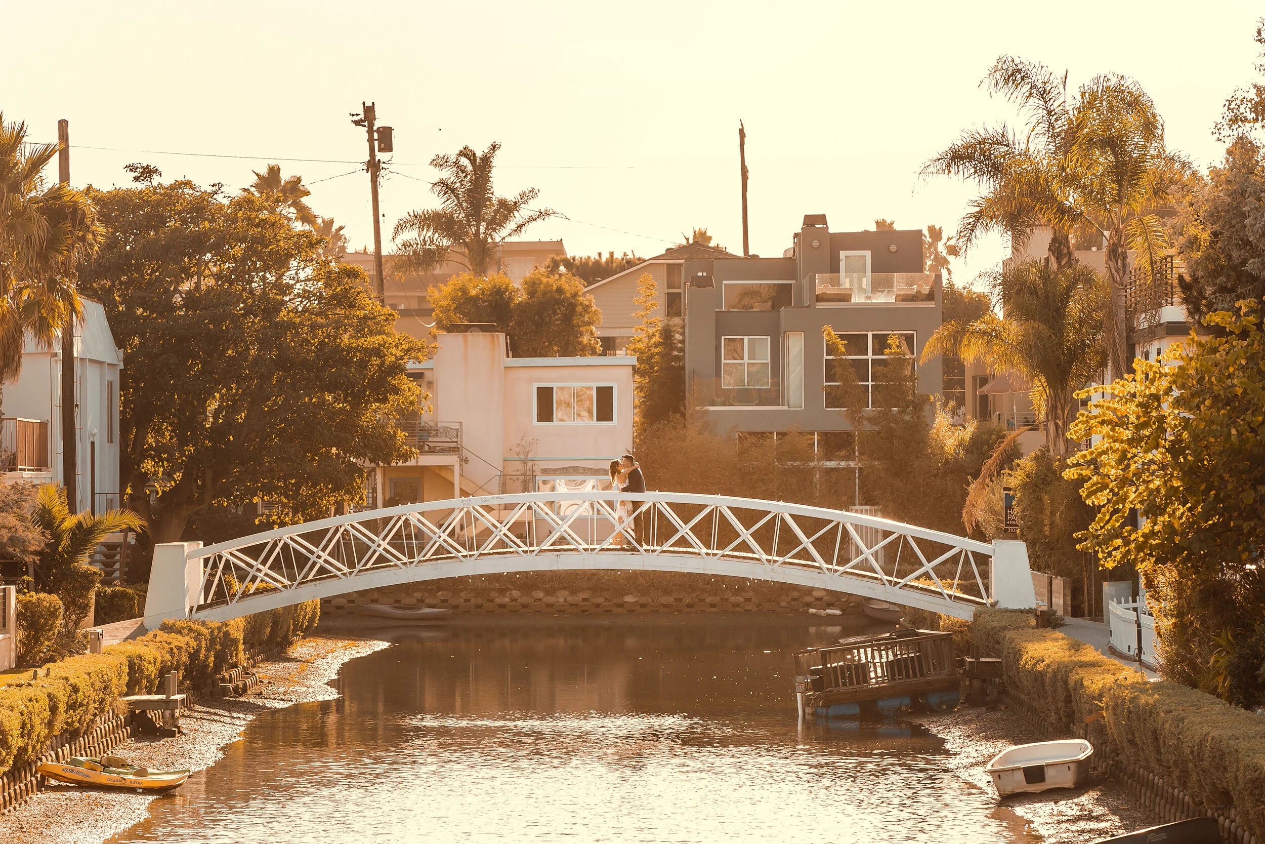 SF1_9530.jpg