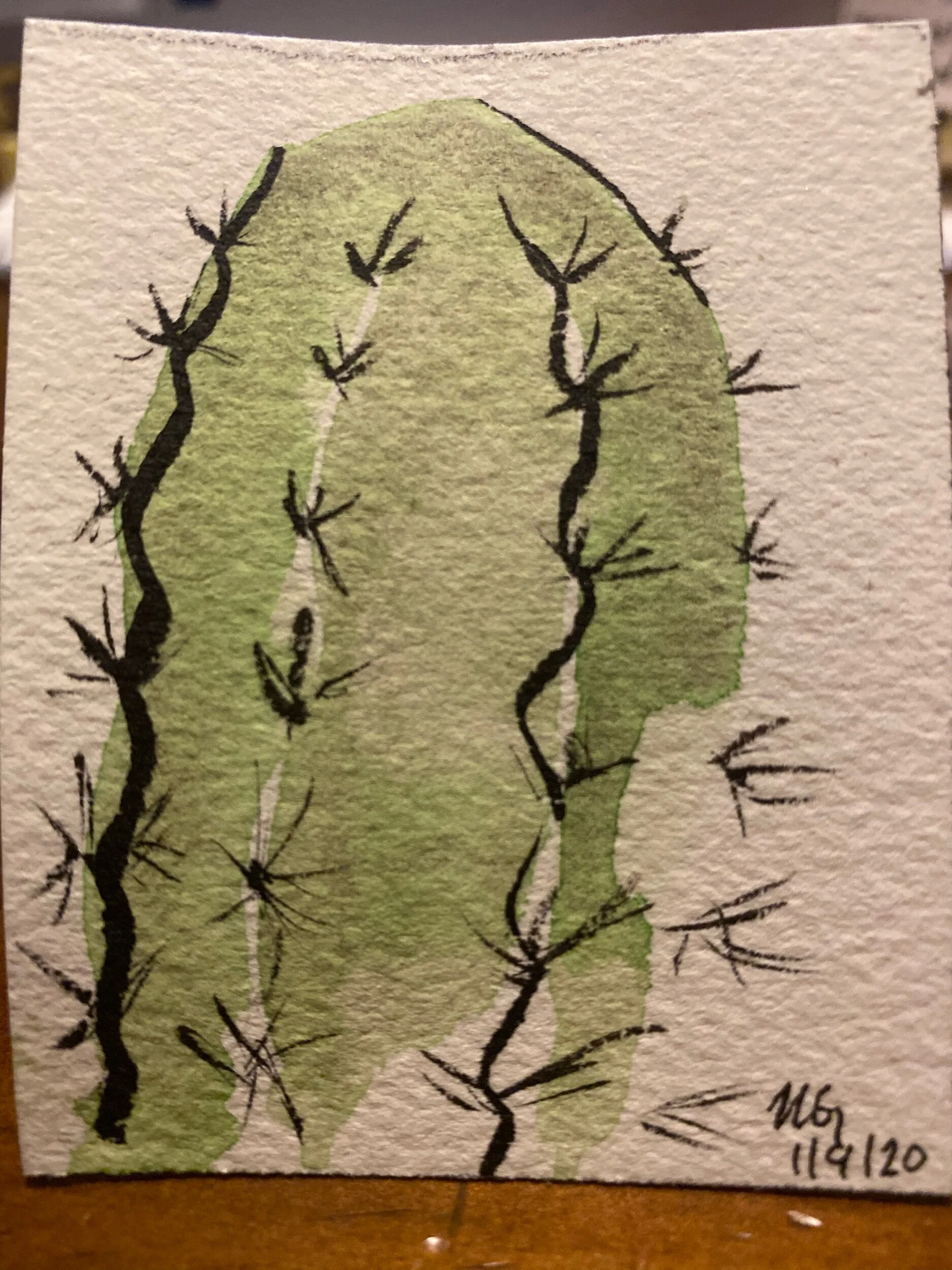 Watercolor cactus. 3³⁄₁₆” x 2½”.