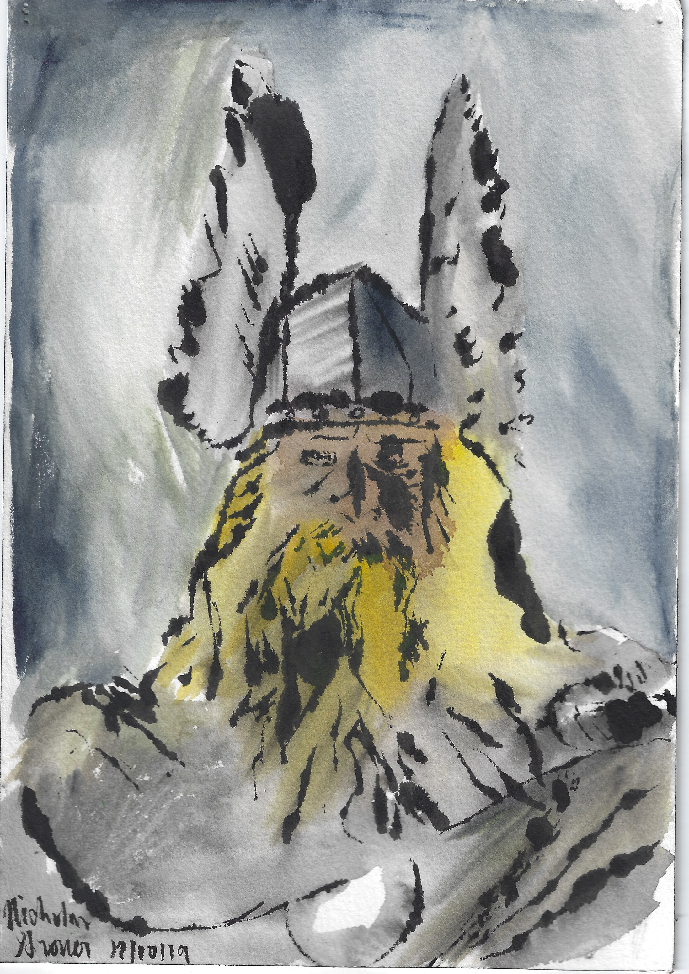thor.png