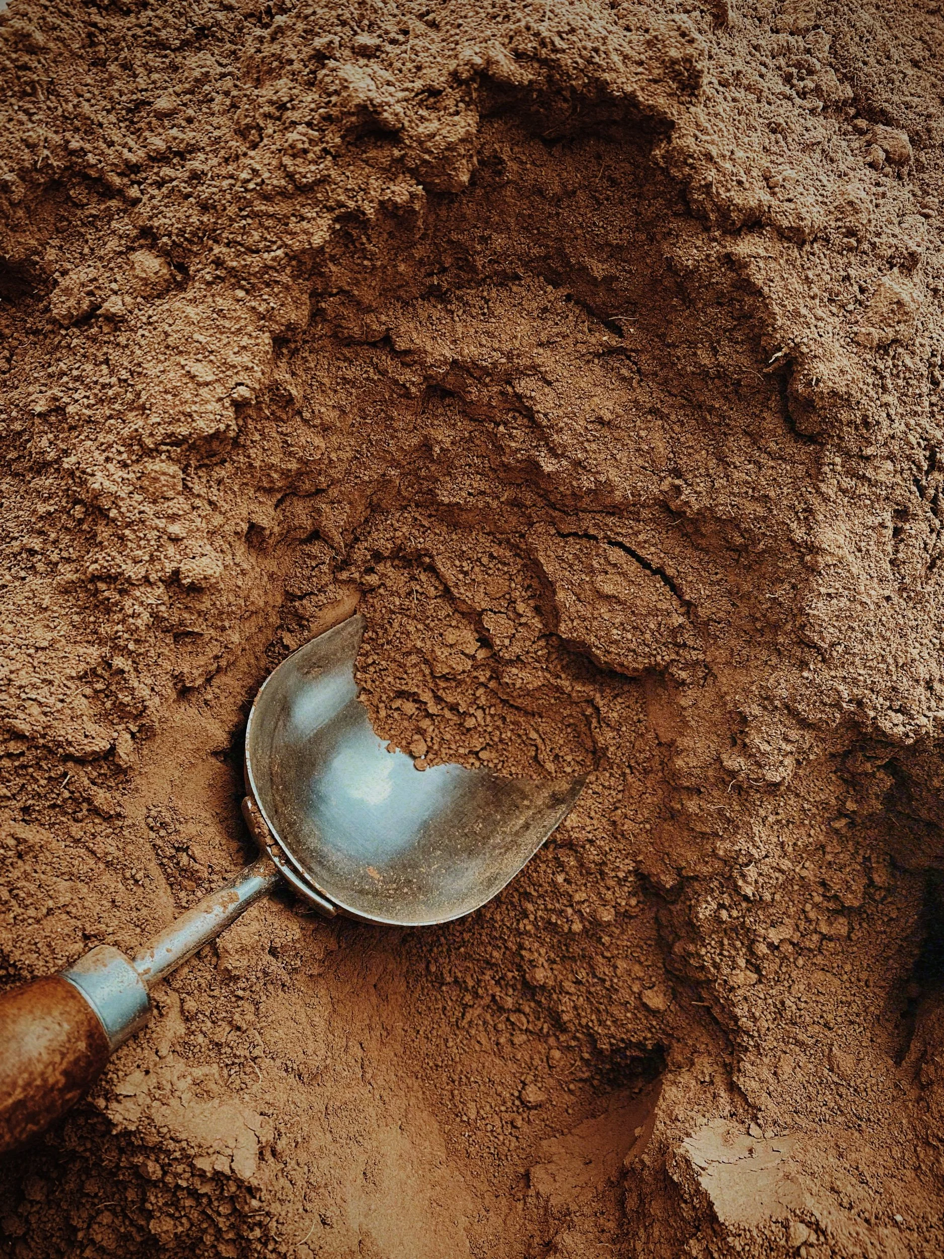 BC6925DE-6D44-4A0D-9908-23797C19564F