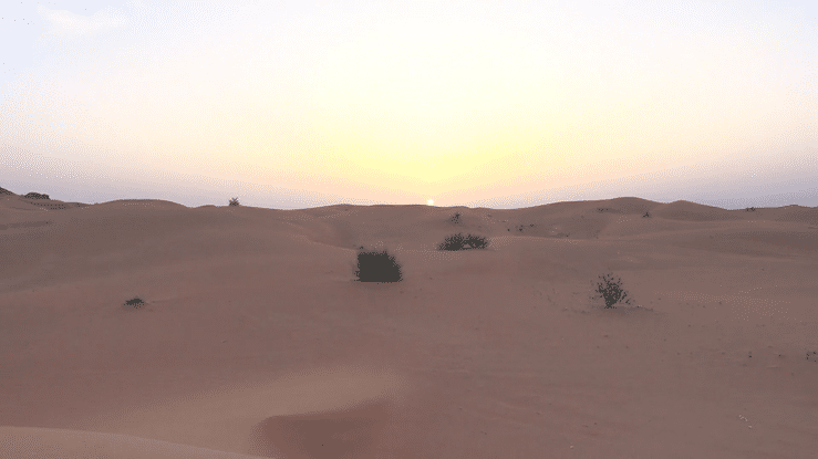 Desert landscape with sand dunes, sparse vegetation, and a setting sun on the horizon.