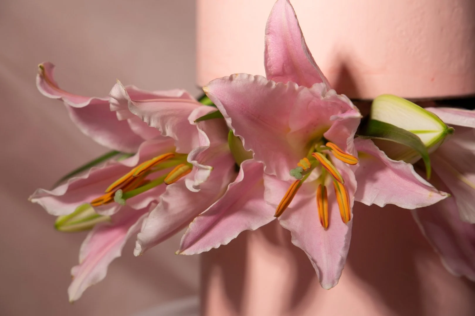 Close-up of pink lilies with orange stamens and a large pink cake in the background.