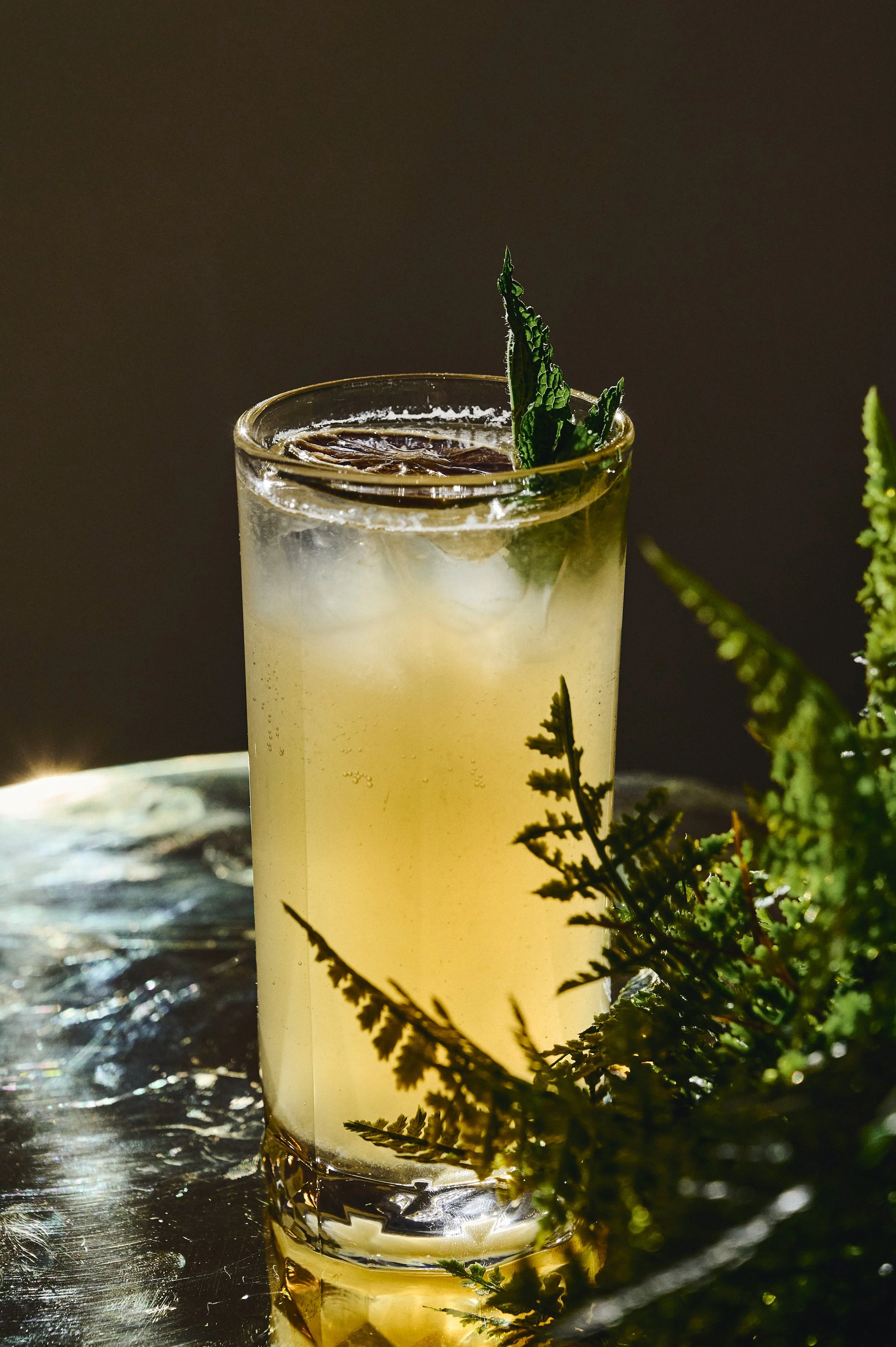A tall glass cocktail garnished with mint leaves, with ice and a slice of lemon inside, placed on a reflective surface with green foliage nearby.