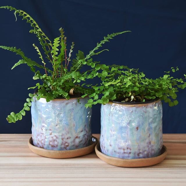 A few of these dreamy opal planters went through their bisque firing yesterday.. glazing today and back into the kiln tomorrow! 🔥🔥🔥 Also..... who is keen for some new mug forms in this glaze?? 🥰