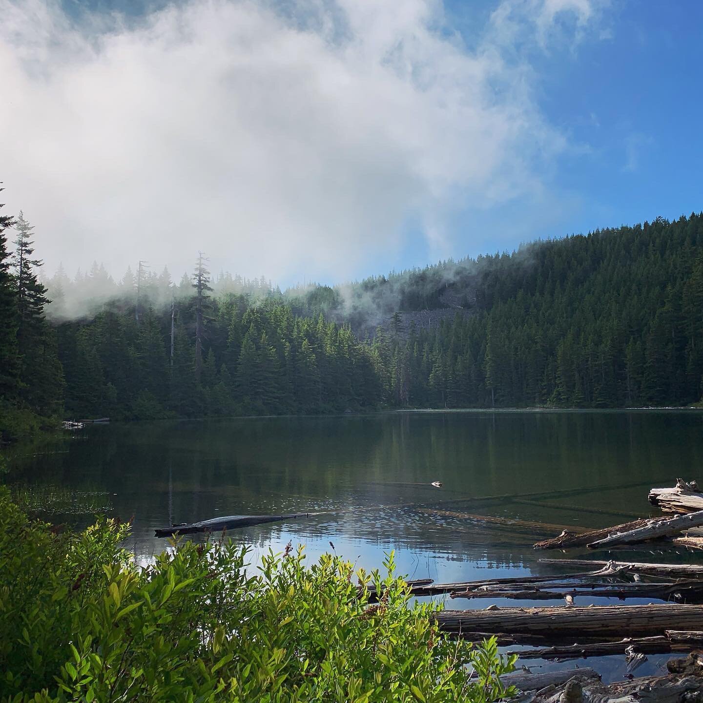 Spent the weekend enjoying #pnwonderland beauty! Now back to the digital Revit world...