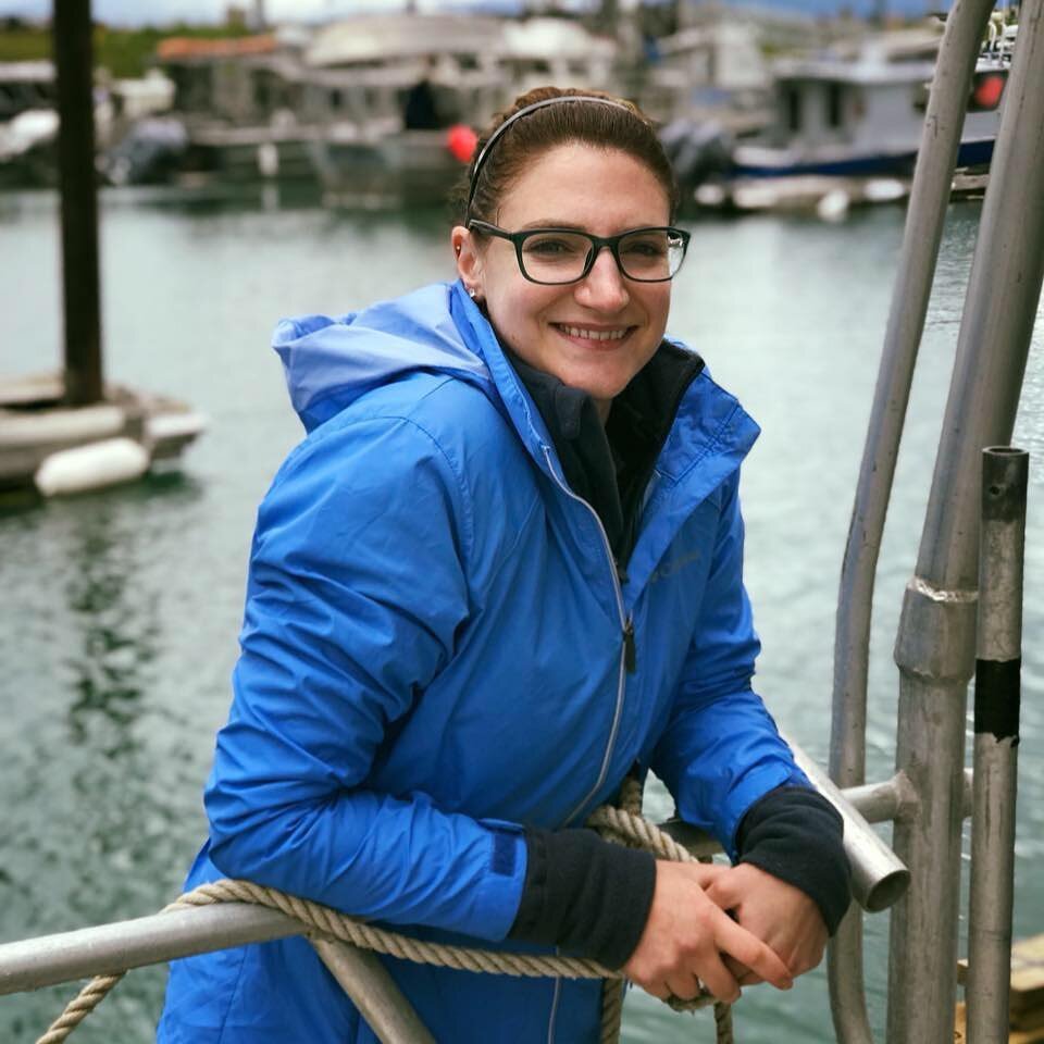 I&rsquo;m Carlie, licensed Architect, Cat Lady, and highly efficient Revit specialist with experience in a variety or project types. Based in the Pacific Northwest, I provide remote support to small firms and sole proprietors from temporary deadline 
