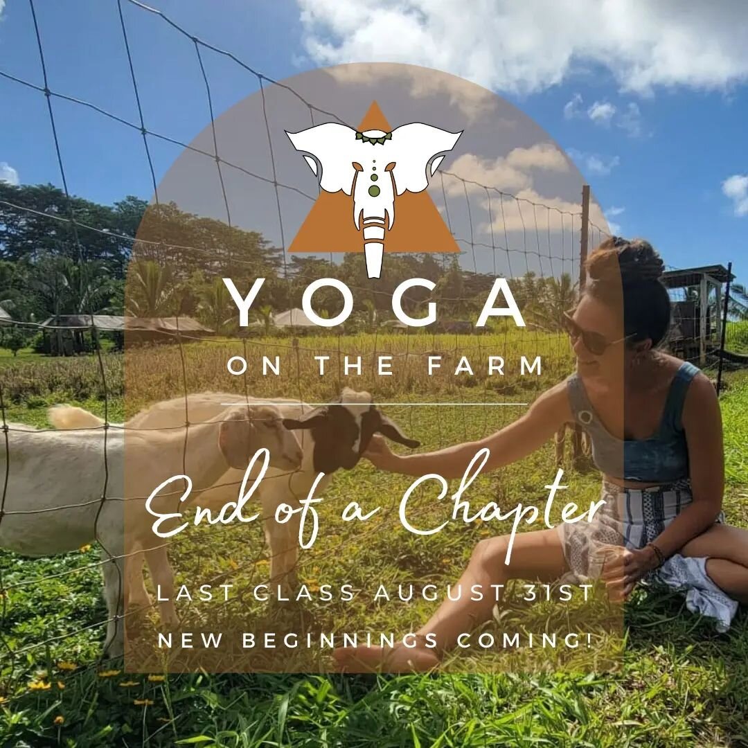It's with bittersweet emotion that we announce Yoga on the Farm's last class will be hosted at KAEF Wednesday August 31st 🌻 

We've  shared 18 months of practice and meditation, laughter and sweet animal moments, deeper connection to the mana of Kul