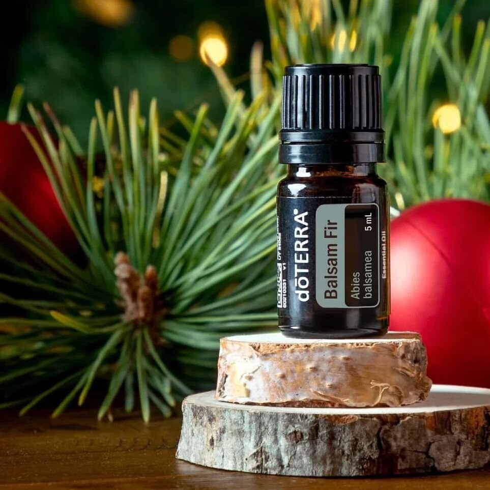 Balsam Fir 
&bull;🌲&bull;🌲&bull;🌲&bull;🌲&bull;🌲&bull;🌲&bull;🌲&bull;
fresh ~ woody ~ energizing

▪︎ skin cleansing + soothing properties (apply diluted first)
▪︎ great oil for massage
▪︎ add to your bath
▪︎ create scented ornaments
▪︎ sourced f