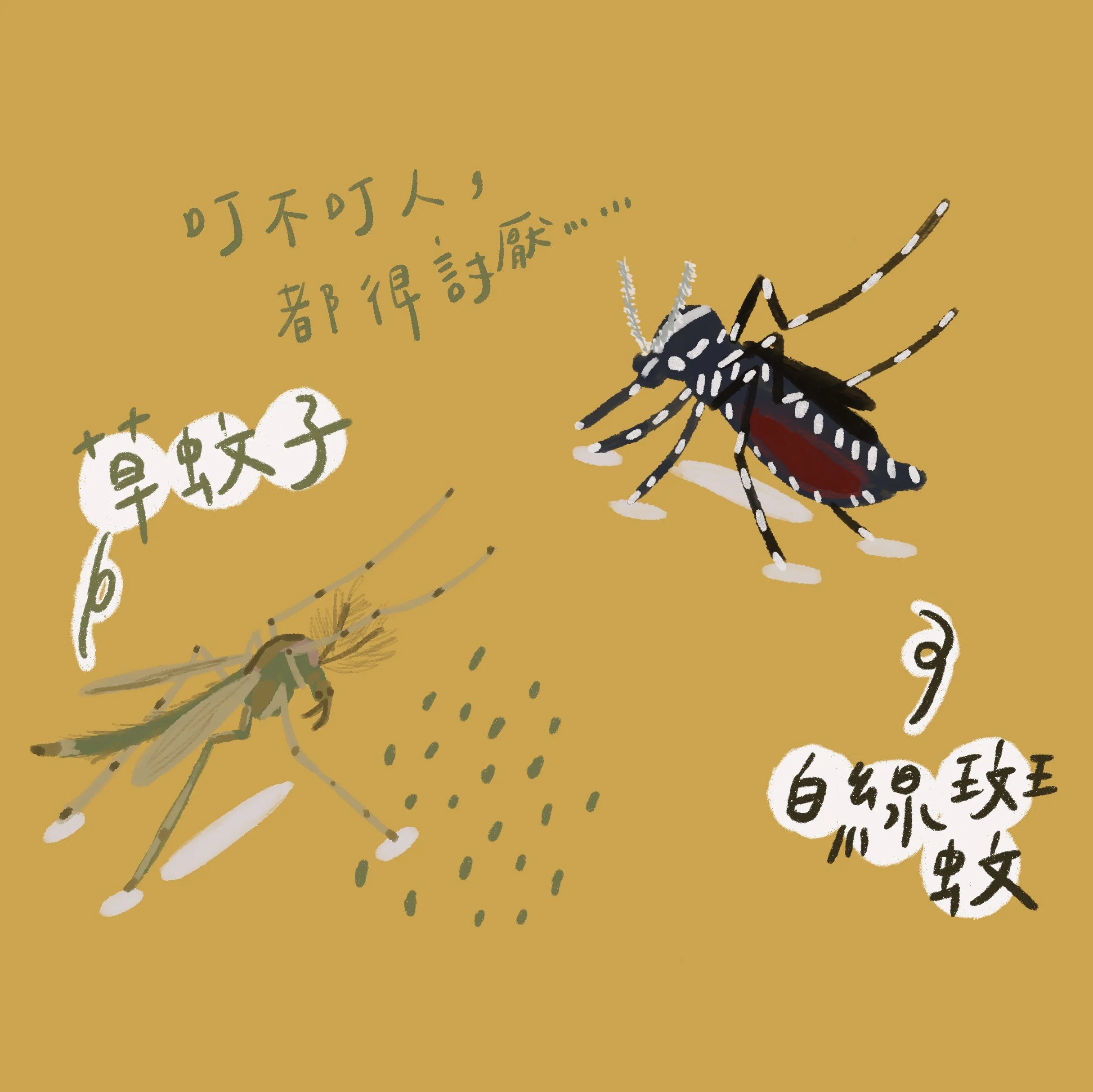 邊邊圖錄Vol. 5｜ 蚊子有兩種，不會叮人的那種也很討厭