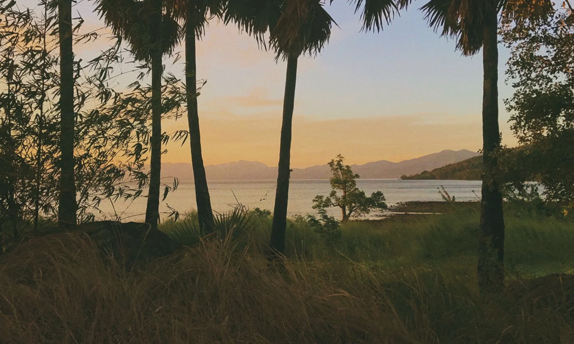 image7.jpeg