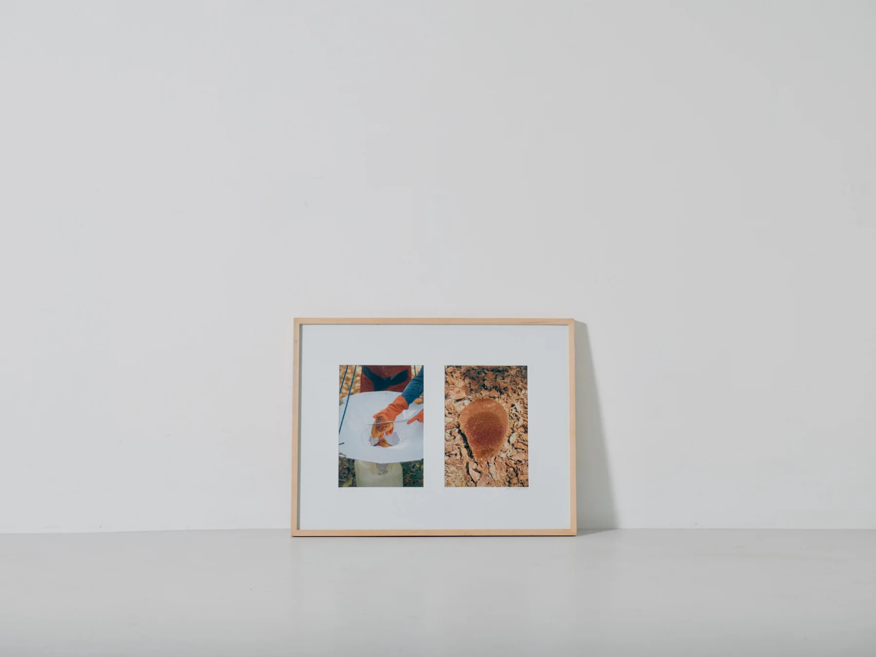 february 17, 2018 - CanaanInFlores Catalog Photos2282.jpg