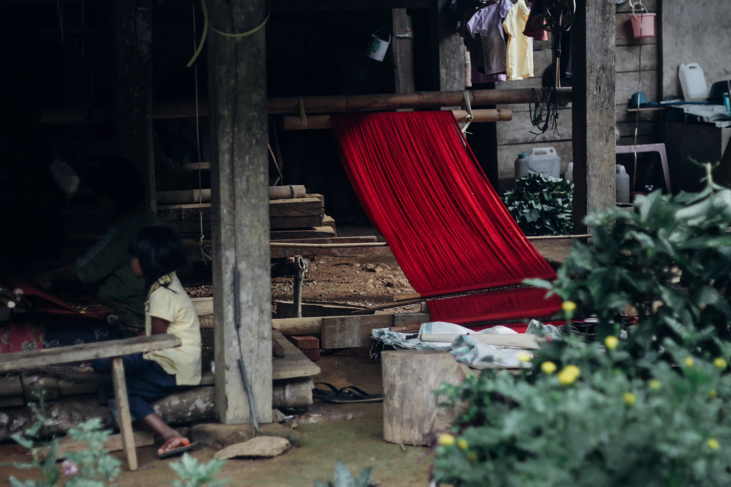 Canaan_Toraja-3117.jpg