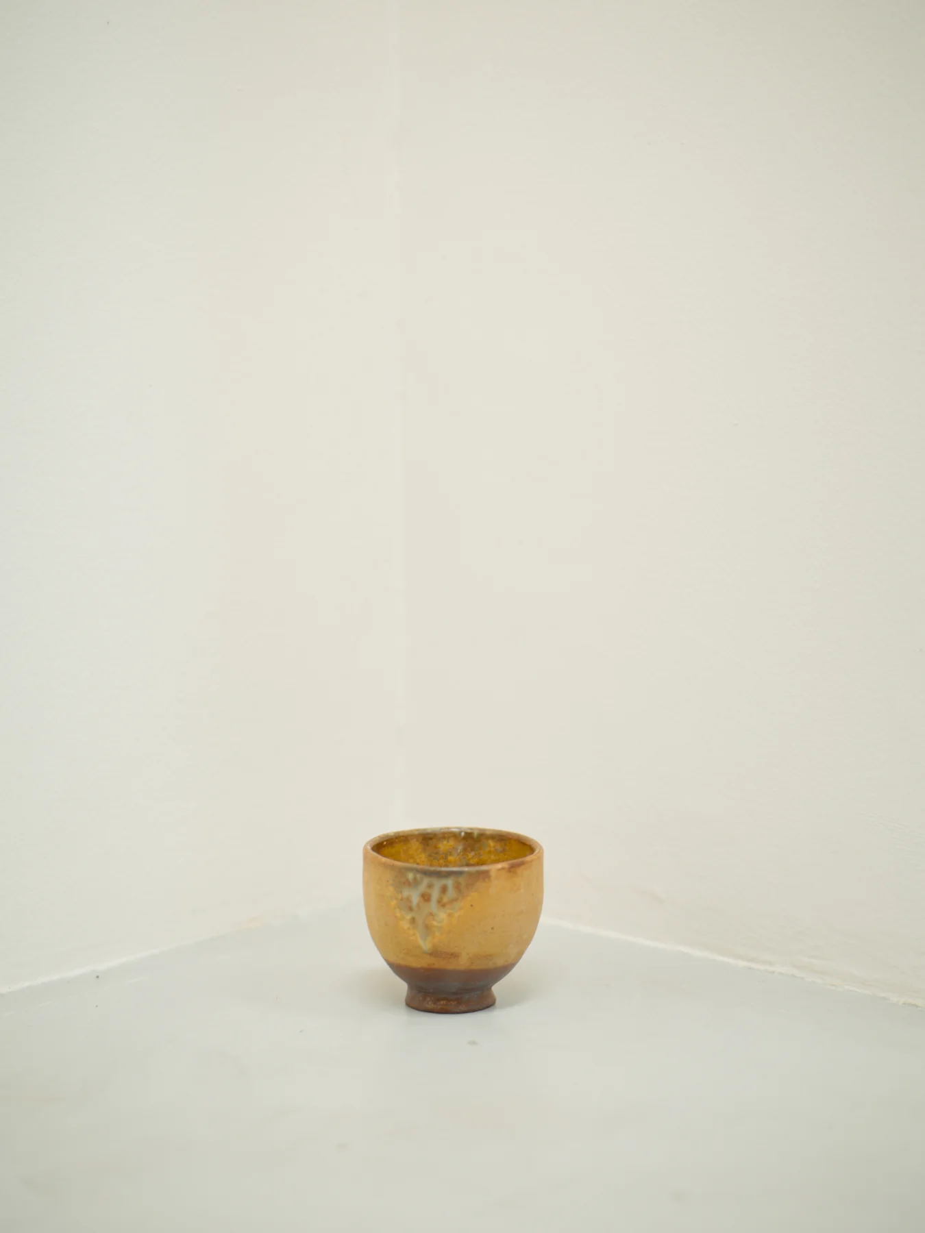 CF023265.IIQ.p.JPG
