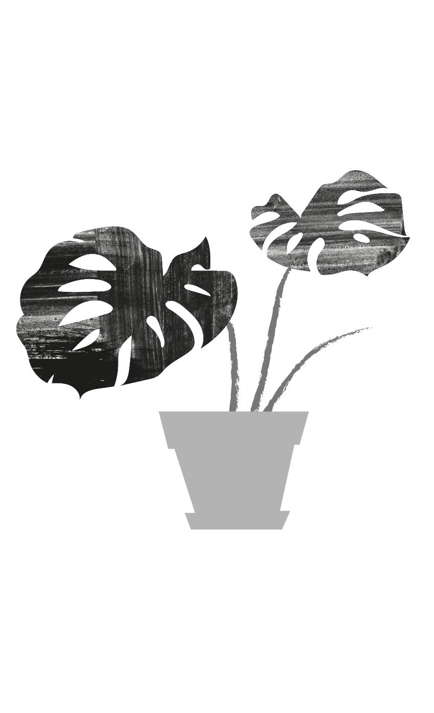 monstera.png