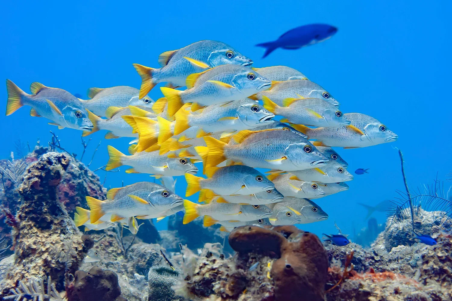 GALLERY 2.webp