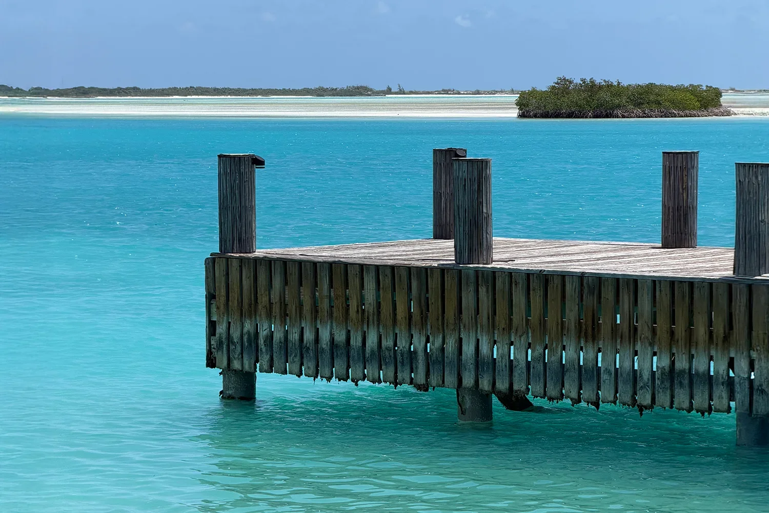 GALLERY_000.webp