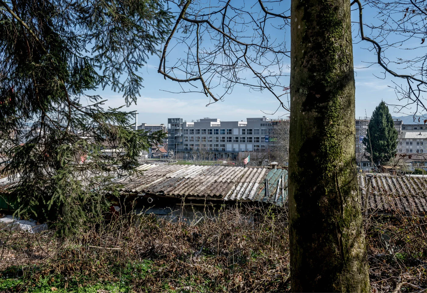 PFF_Stadtwanderungen_40.jpg