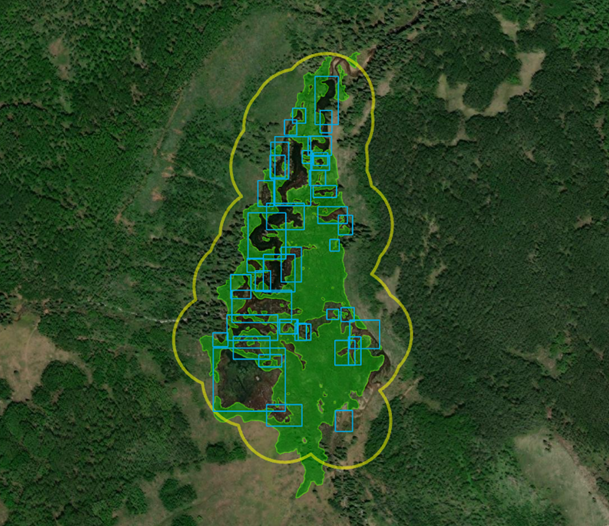 An AI generated inventory of wetlands and beaver ponds in the Colorado