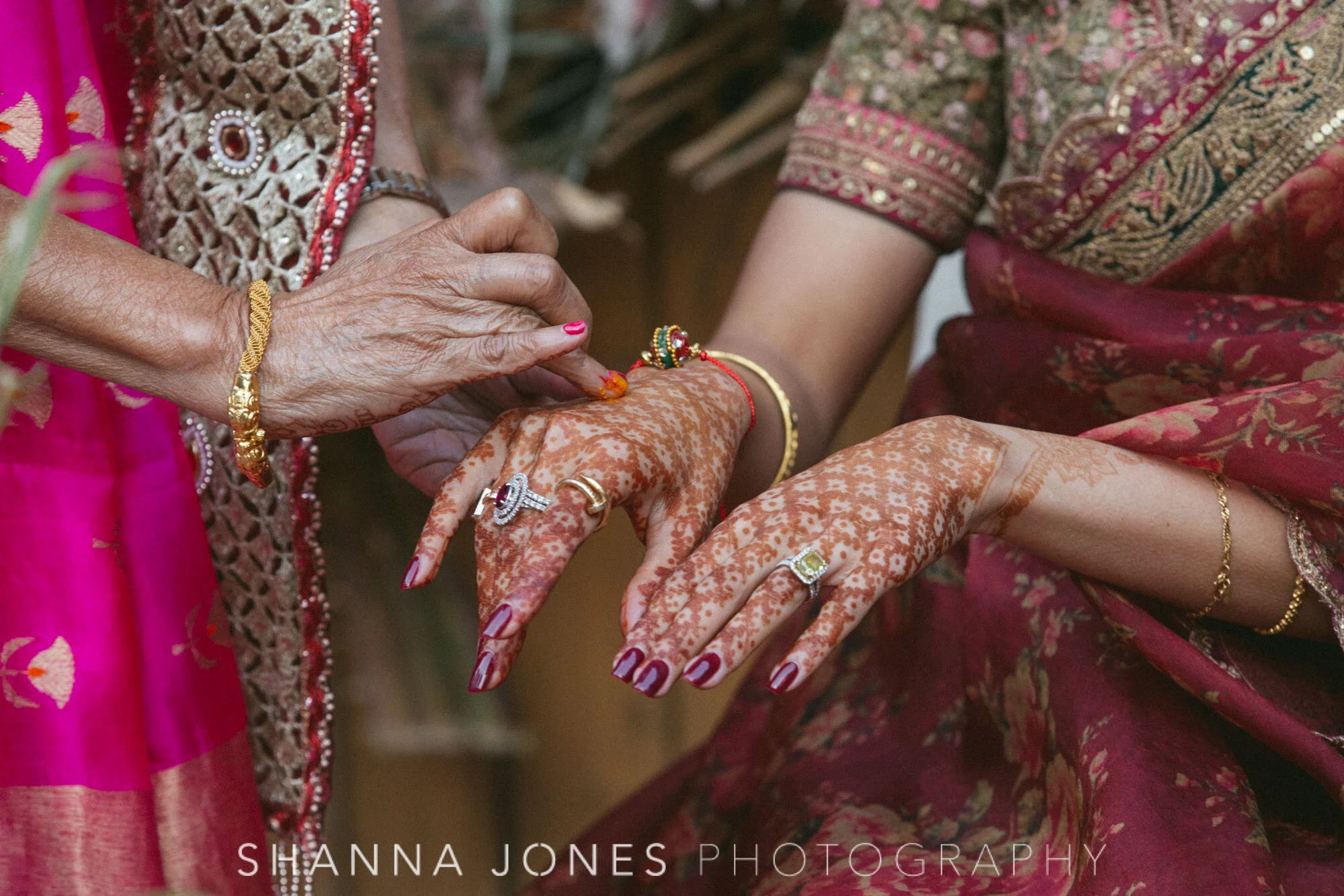molenvliet-hindu-cape-town-wedding-shanna-jones-photography-ashmali-dil-81.jpg