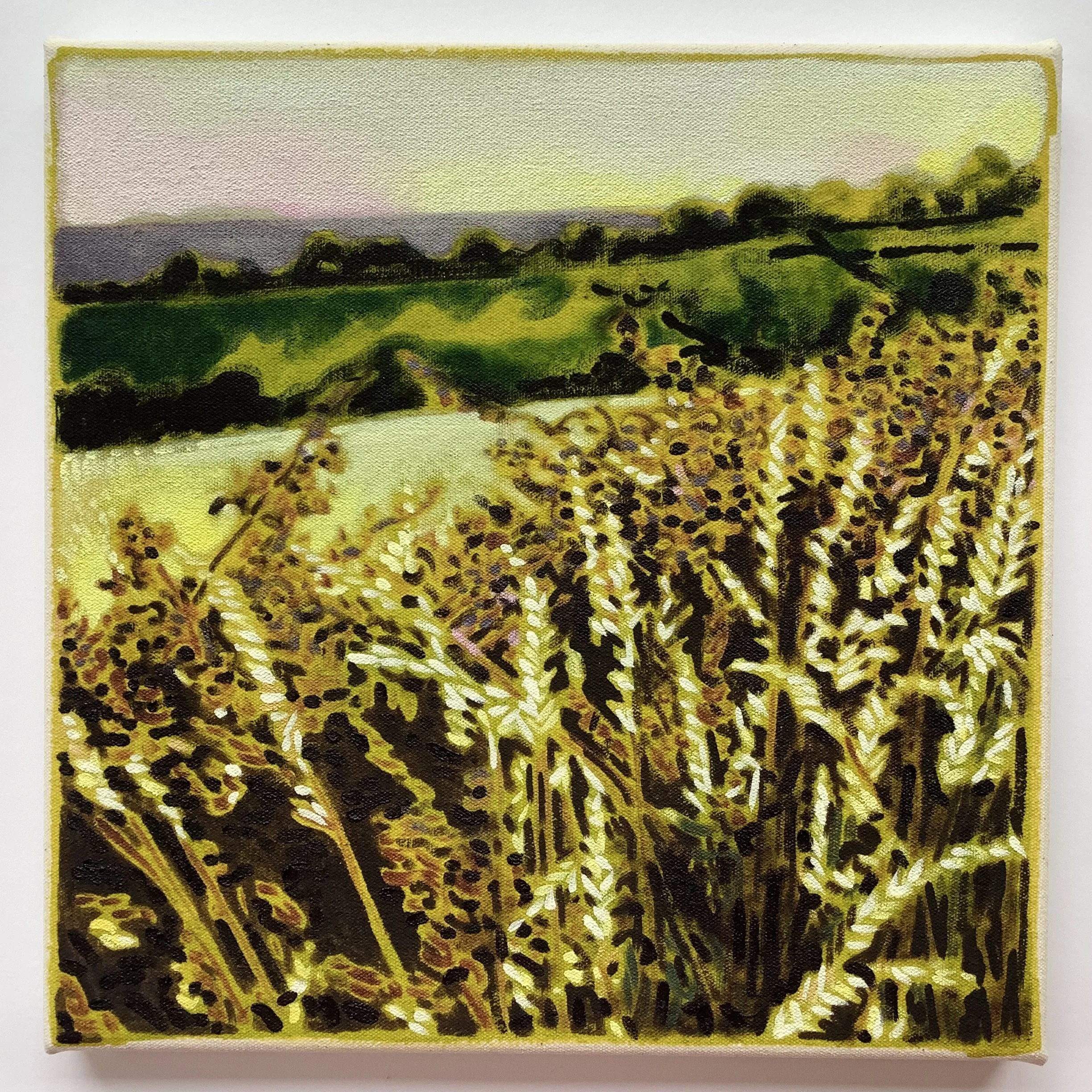 Exhibition: Nadine James - Sunsetting