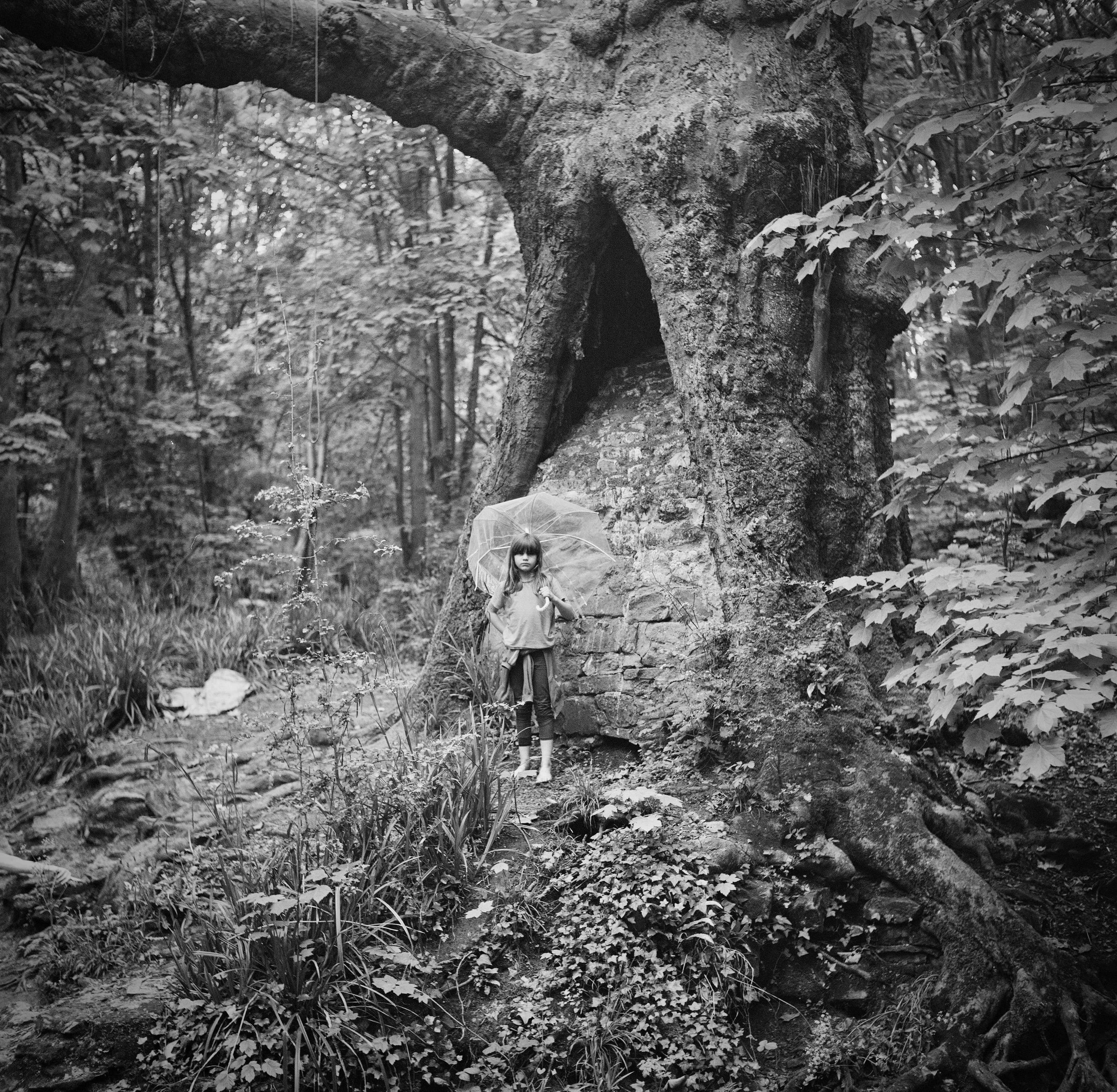 'Anatomy of a Camera’ with Kitchen Table Photo Club