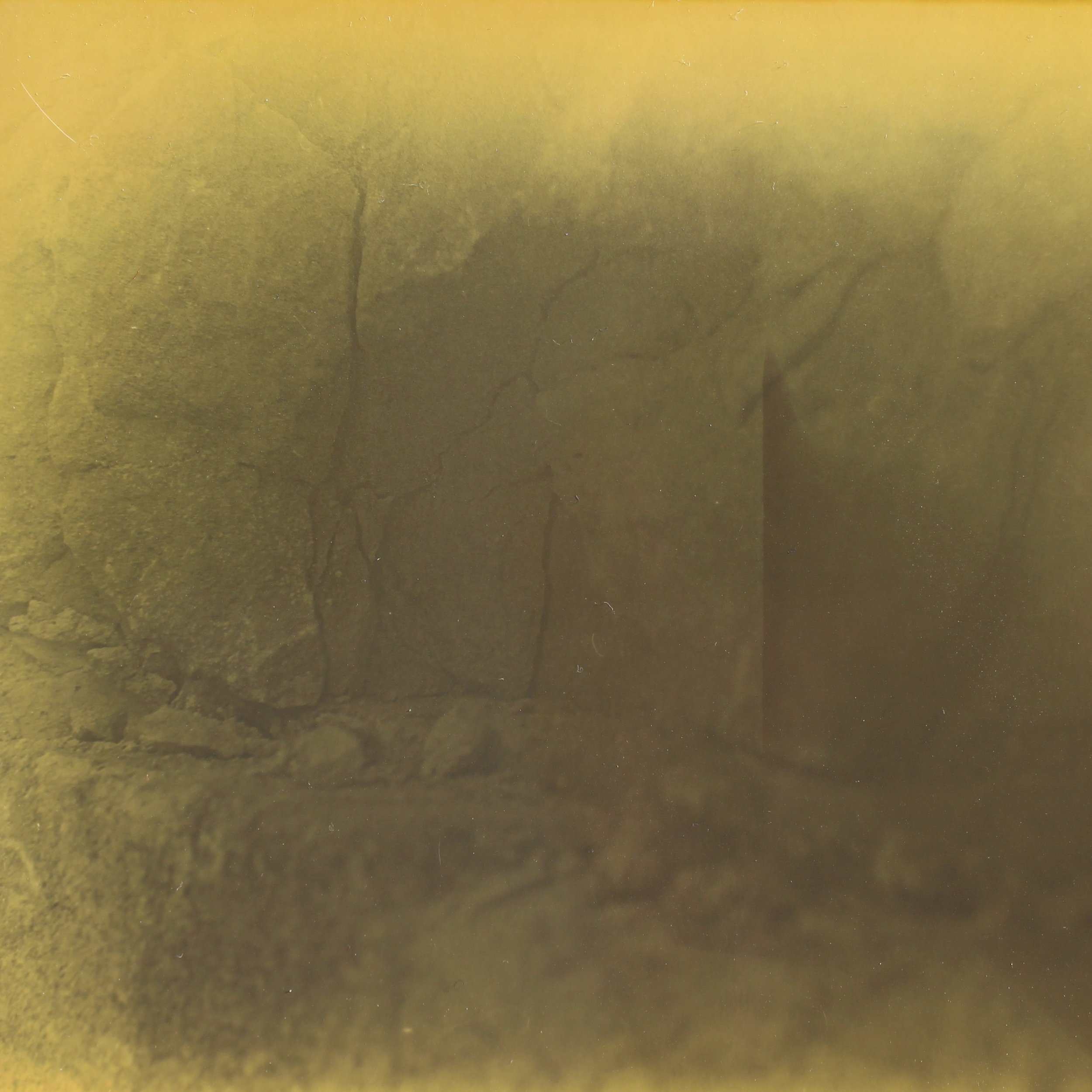 Rock Ecologies: In Conversation