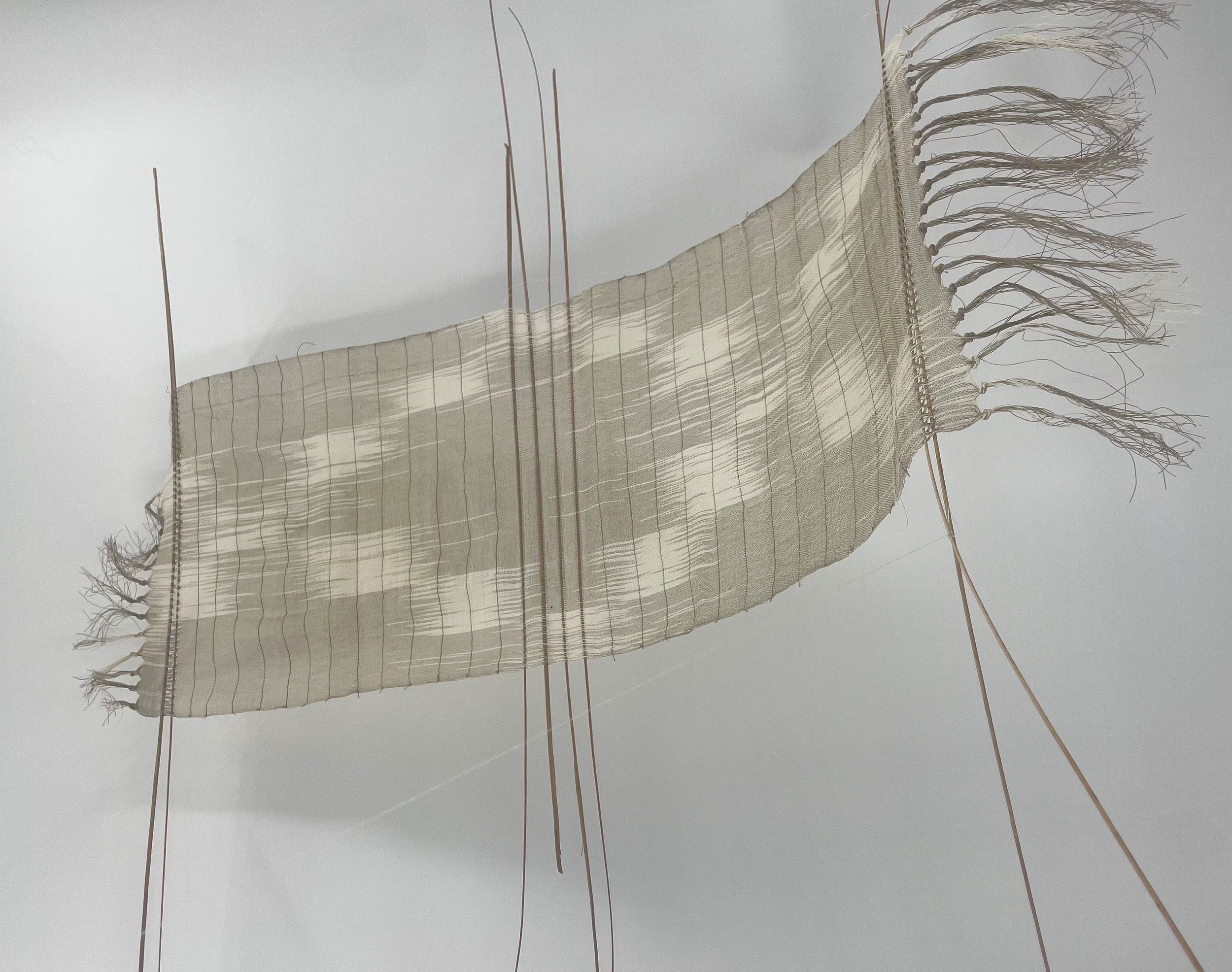 Residency: Archie Taylor-Roach
