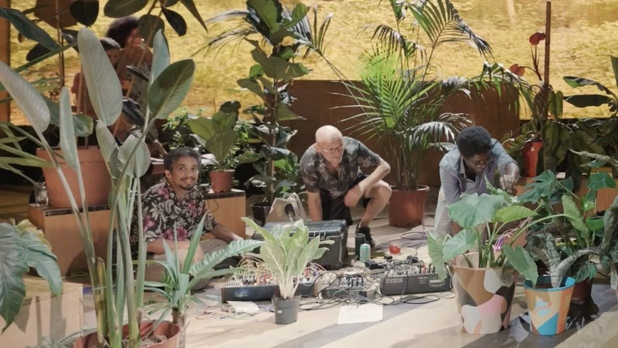 Cultivating Connections: Plants can Dance with DJ Brian d’Souza (Auntie Flo) workshop