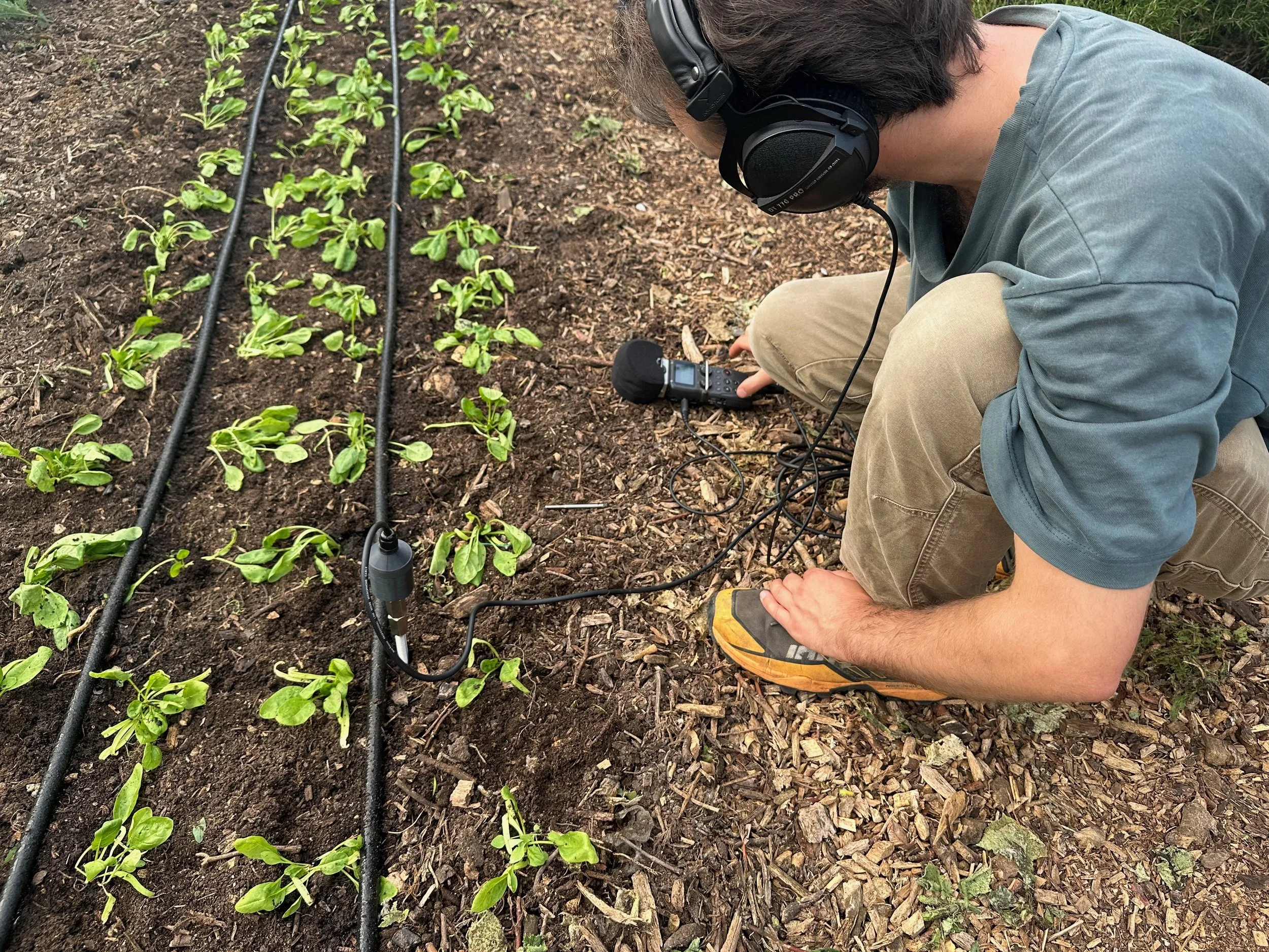 Cultivating Connections: Hear the Ground workshop -Sound hunting