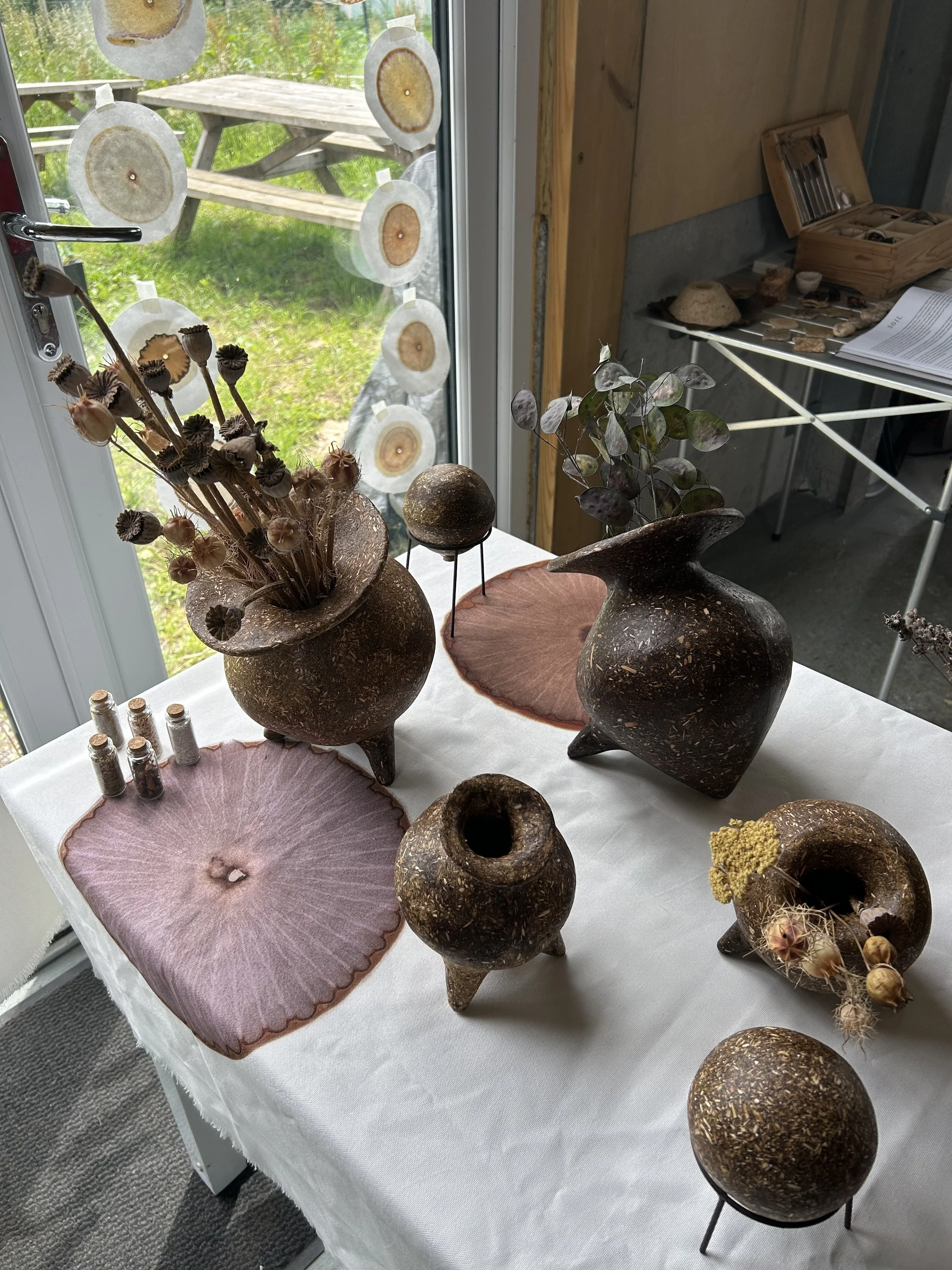 SITE Festival: Cultivating Connections with Sophie Ferrier and Zero Dig