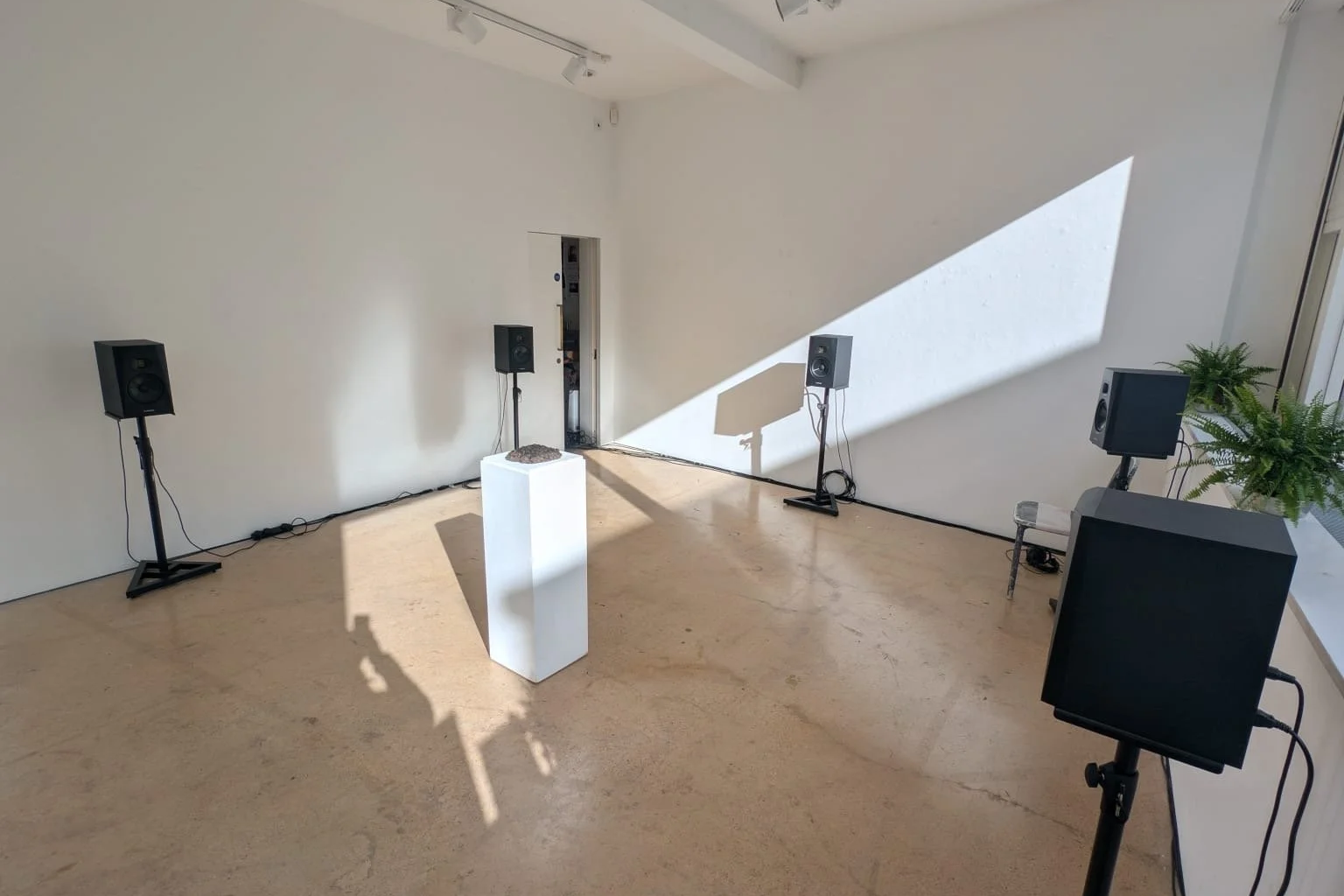 Cultivating Connections: Sounds Like Imagination&nbsp;