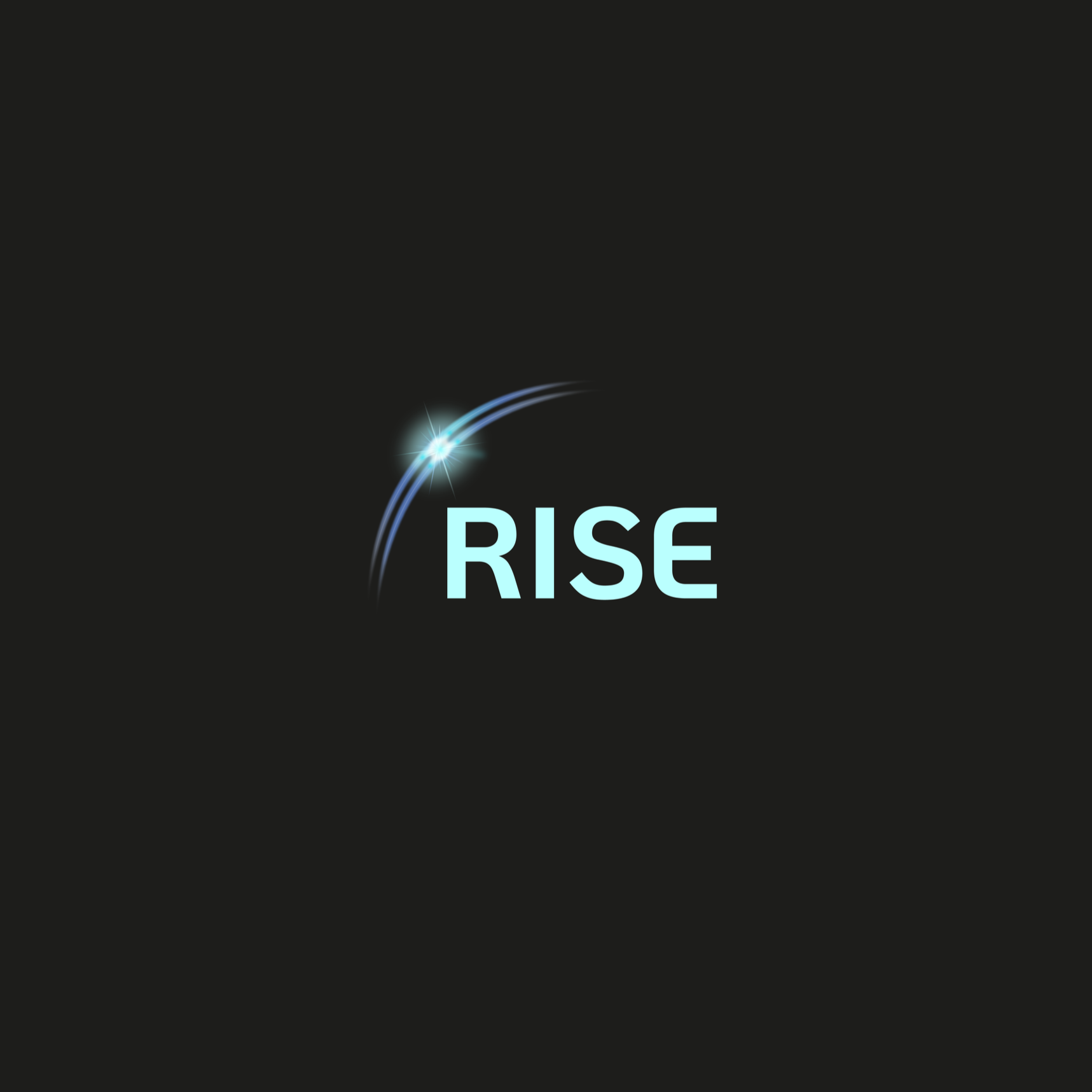 RISE branding and website