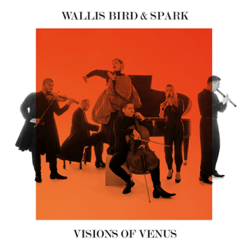 Visions of Venus – Kunstflecken Neumünster