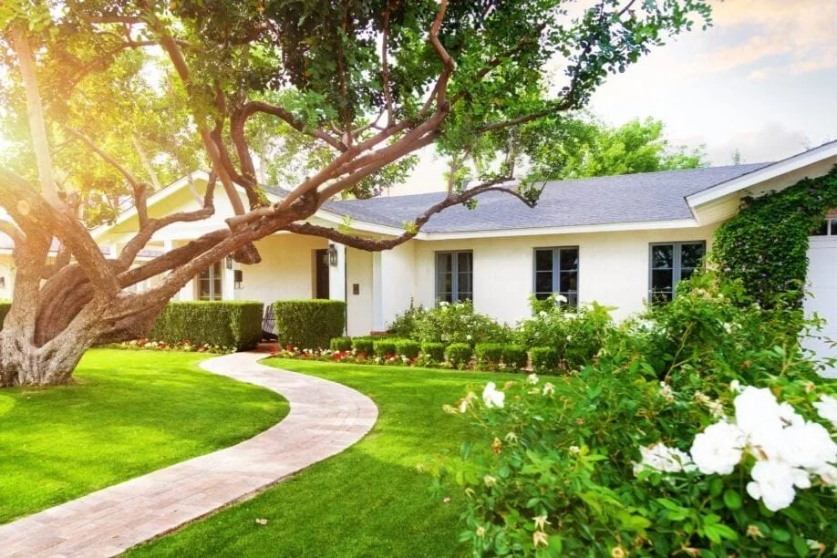 How to keep your gardens and landscape green and looking in any season