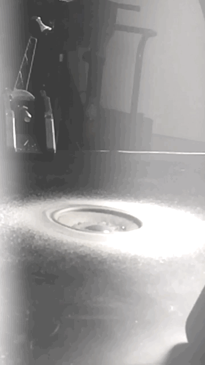 regift.gif