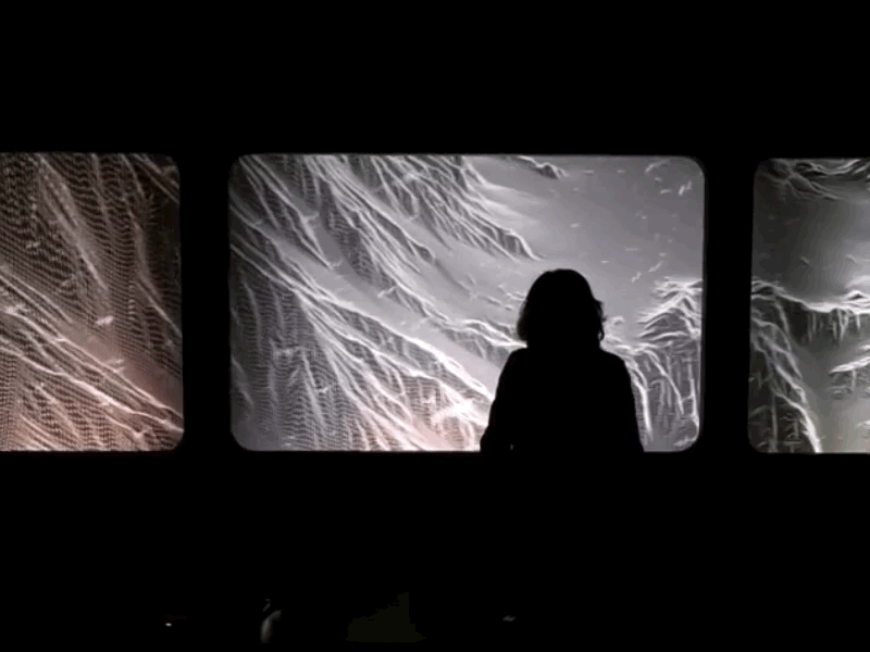 Cosmos Express 4 HD.gif