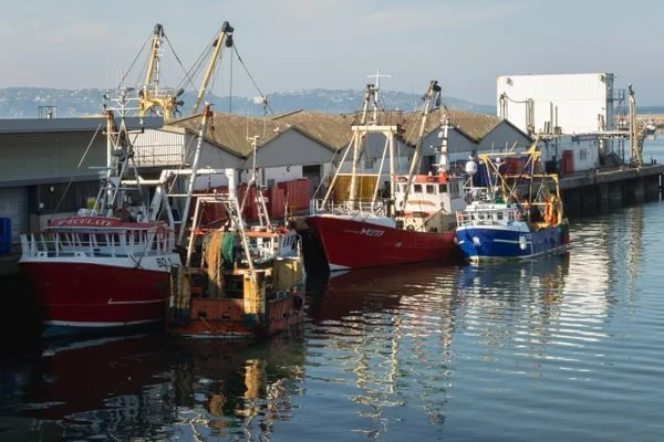 AS8A0188 - Small (4).jpg