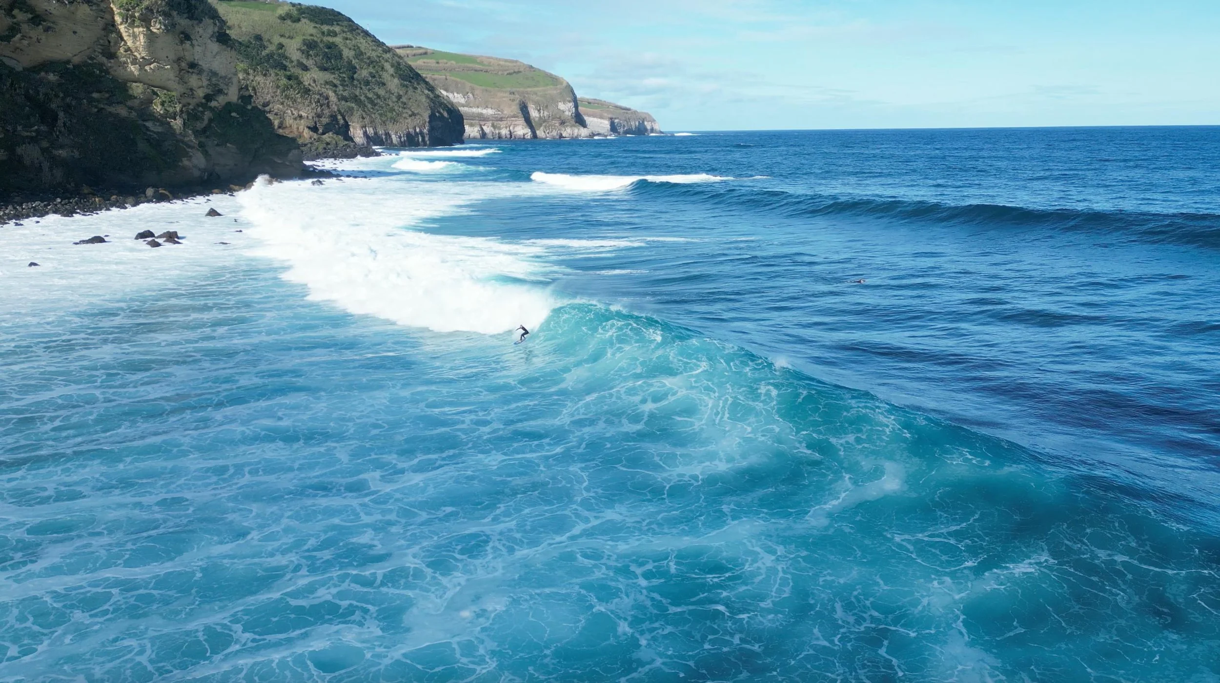 Concha Balsemão_2.jpeg